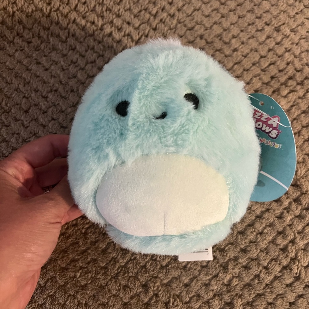 Squishmallows Onica Turtle NWTS!